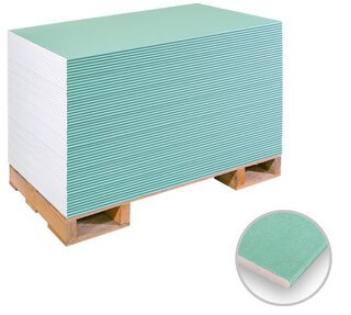 Rigips 1-Mann-Platte „Die Grüne Compact” 12,5