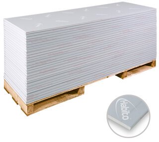 Rigips Habito 1-Mann-Platte 12,5