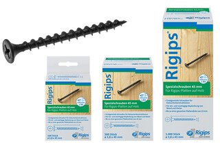 Rigips Spezialschrauben 45 mm